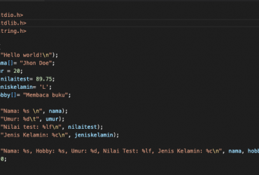 fungsi printf